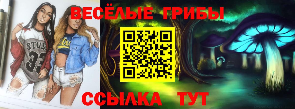 Нарткала  Псилоцибиновые грибы MAGIC MUSHROOMS  Вход с VPN 
